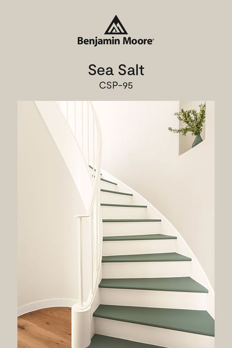 Benjamin Moore 2025 Color Trends, Benjamin Moore Paint Colors 2025, 2025 Paint Color Trends Benjamin Moore, Benjamin Moore Warm Neutrals, Sea Pearl Benjamin Moore, Benjamin Moore Sea Salt, Benjamin Moore Paint Colors, Trends 2025, Paint Colors Benjamin Moore