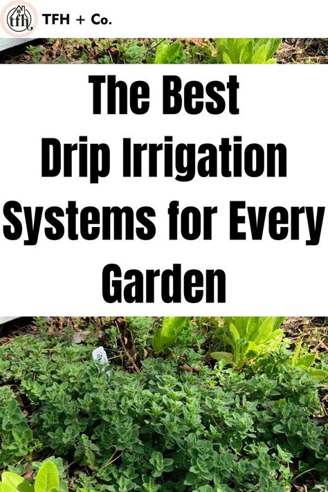 "Best Drip Irrigation System, drip irrigation, drip irrigation diy, drip irrigation system design, garden layout, drip irrigation system, drip irrigation for raised beds, garden design, Gardening
Gardening for Beginners, Gardening Tips, Gardening Hacks,  drip irrigation system diy, raised garden beds layout" Irrigation For Raised Garden Beds, Raised Bed Watering System, Raised Beds Garden, Raised Garden Beds Irrigation, Irrigation System Design, Gardening Beginners, Irrigation Diy, Best Drip, Drip Irrigation Diy