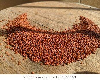 Finger Millet, Millet Flour, Millet Recipes, Yummy Healthy Breakfast, Help Digestion, Plant Supplies, Body Organs, Organic Seeds, Keeping Healthy