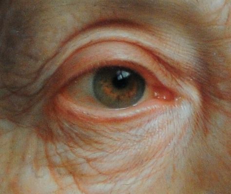 Christian Seybold, 1768  detail. Paintings I Love, Anatomy Art, Eye Art, Rembrandt, An Eye, Figure Painting, Figurative Art, Beautiful Paintings, Painting Inspiration