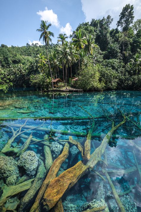 Paisu Pok Lake In Banggai: Bluest Lake In Indonesia North Sulawesi, South Sulawesi, Blue Beach, Blue Lake, Hidden Beach, Island Tour, Beach Look, Natural Scenery, Small Island