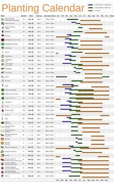 Vegetable Growing Chart, Planting Raised Garden Beds, Large Vegetable Garden, Vegetable Planting Calendar, Vegetable Garden Layout Design, Planting Chart, Gardening Tips And Tricks, Planting Calendar, Vegetable Garden Raised Beds