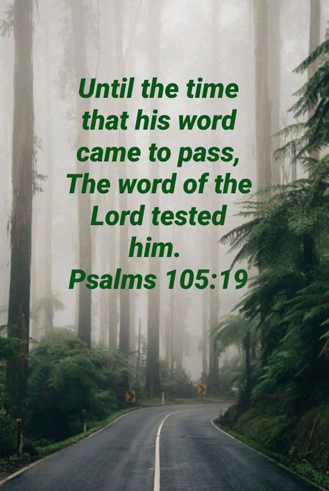 Psalm 105:19 Psalm 105, Seasons Of Life, Bible Words, Scripture Quotes, The Covenant, Holy Bible, Names Of Jesus, Bible Quotes, Bible Verse