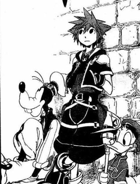 Kingdom Hearts, Wall