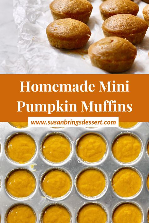 Baking With Pumpkin, Pumpkin Mini Muffins, Recipes For Fun, Pumpkin Bread Recipe Easy, Mini Muffin Tin Recipes, Fun Fall Desserts, Mini Pumpkin Muffins, Fall Muffins, Mini Muffin Recipe