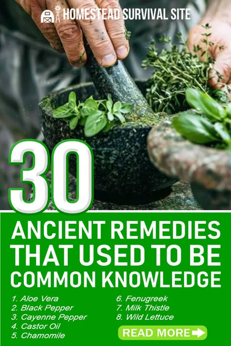 Long before pharmaceuticals and modern medicine, ancient civilizations held the key to healing and wellness. Passed down through generations, these powerful remedies were once common knowledge. But as time went on, the secrets became lost. Now, we unveil 30 ancient remedies that could change your life and reconnect you with the wisdom of our ancestors. Medicine Plants, Ancient Remedies, Common Knowledge, Herbal Apothecary, Natural Healing Remedies, Healing Remedies, Herbal Healing, Herbs For Health, Survival Life