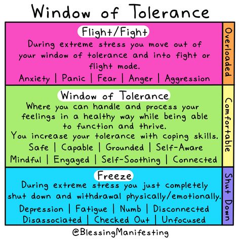 The Window of Tolerance helps us see how our coping skills can help us cope with life's stressors and why we freeze/flight/fight. Tolerance Activities, Behavioral Specialist, Window Of Tolerance, Nurture Group, Distress Tolerance, Marriage Therapy, Ornament Template, Relationship Therapy, Mental Health Counseling