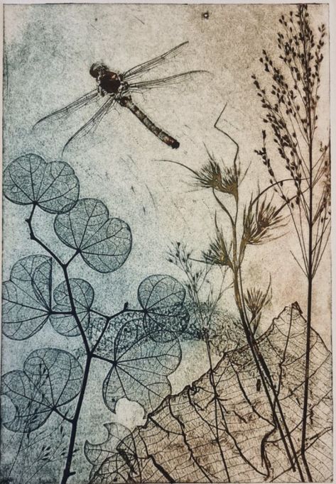 Collagraph Printmaking, Intaglio Printmaking, Framed Portrait, Plant Kingdom, Drypoint Etching, Australian Natives, Seed Heads, Pond Life, Etching Prints