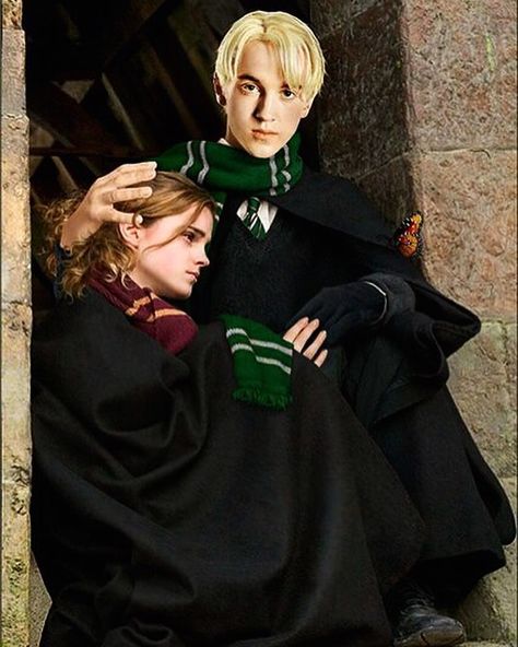 Draco And Hermione Fanfiction, Tom Y, Ron Weasley Hermione Granger, Draco Malfoy Fanart, Harry Potter Painting, Dramione Fan Art, Draco Malfoy Aesthetic, Harry Potter Feels, Buku Harry Potter