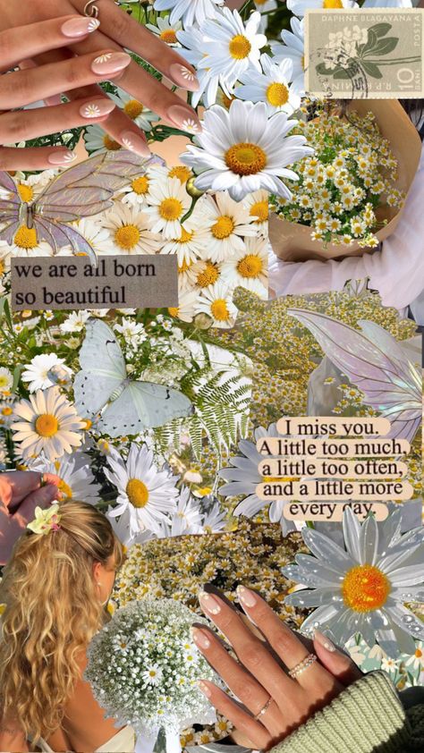 #myfirstshuffle #daisies #flowers #moodboard #collage #field #nails #inspo Daisy Collage, Flowers Moodboard, Yellow Daisy Flower, Moodboard Collage, Daisy Wallpaper, Flower Collage, Flower Daisy, Wall Papers, Colour Board