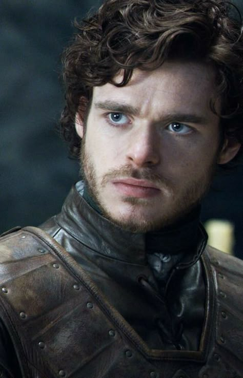 Rob Stark, Got Stark, Game Of Thrones Poster, Game Of Thrones Tv, Robb Stark, King In The North, Gra O Tron, House Stark, Game Of Throne