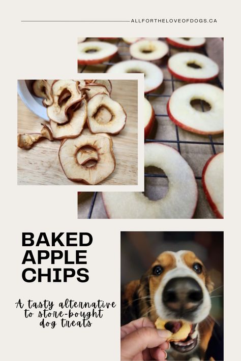 Dehydrated Snacks For Dogs, Air Fried Dog Treats, Air Fryer Dog Treats, Homemade Christmas Dog Treats, Bananas For Dogs, Apple Dog Treats, Turkey Dog Treats, Baked Apple Chips, Dog Meals