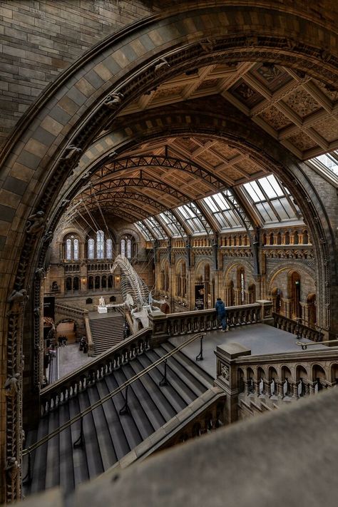 Natural History Museum London, Old Quebec, Canada Images, Castle Tower, London Architecture, Cathedral Church, Museum Architecture, Natural History Museum, Architectural Inspiration