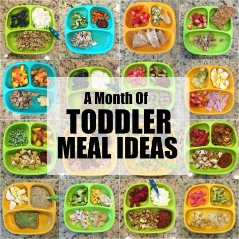 Here are 28 Easy Toddler Meal Ideas from a Registered Dietitian mom. They're quick, healthy and great for lunch or dinner. Toddler Meal Ideas, Kids Foods, Kid Meals, Baby Meals, Easy Toddler Meals, Toddler Dinner, Toddler Recipes, Picky Toddler, Baby Recipes