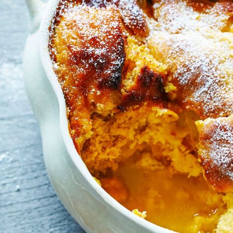 Self-saucing orange pudding Recipe | Home Beautiful Orange Pudding Recipe, Orange Pudding, Self Saucing Pudding, Cake Portions, Orange Baking, Citrus Recipes, Citrus Twist, Orange Sauce, Freshly Squeezed Orange Juice