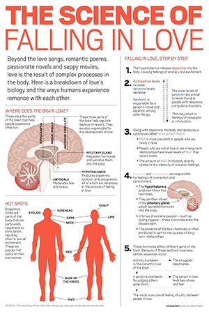 Love Pheromones: The Science Of Falling In Love (Dopamine, Oxytocin?) Pheromones Facts, Dopamine Quote, Romantic Interest, Science Of Love, True Friends Quotes, Romantic Poems, Science Guy, Theory Of Love, Real Friendship Quotes