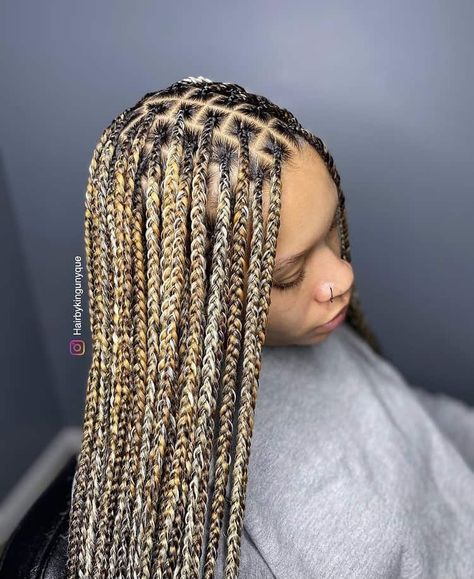 How to Mixed Colour Braids & 25 Cute Mixed Colour Braids Hairstyles Braiding Hair Colors, Colored Box Braids, Blonde Box Braids, Braid Inspiration, Colored Braids, Blonde Braids, Braided Cornrow Hairstyles, Box Braids Hairstyles For Black Women, Cute Box Braids Hairstyles