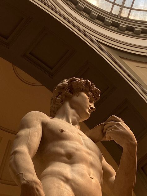 Michelangelo Sculpture, Michelangelo David, Greek Statues, King David, Gym Inspo, Dark Academia Aesthetic, Greek Art, Academia Aesthetic, Florence Italy