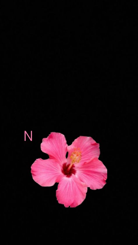 N initial Initial Wallpaper, N Initial, Flower Initial, Flower Wallpaper, Initials, Flowers