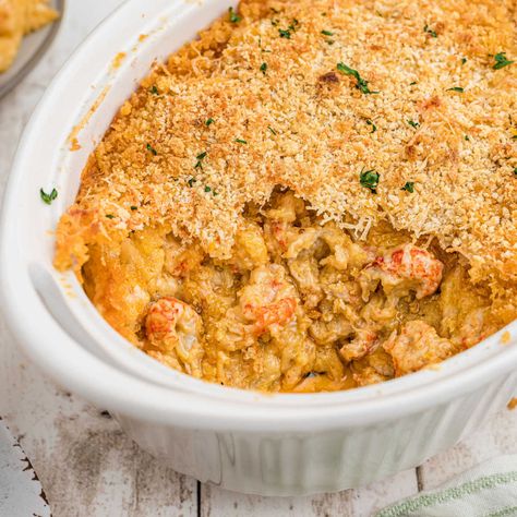 Crawfish Enchiladas Recipe, Natchitoches Meat Pie Recipe, Cajun Seafood Recipes, Pastalaya Recipe, Crawfish Dishes, Crawfish Boil Recipe, Gumbo Recipe Sausage, Fettuccine Recipes, Venison Burgers