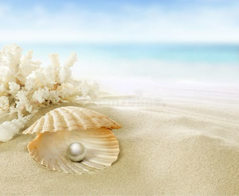 Pearl in coral reef. An open sea shell with a pearl inside , #Aff, #reef, #coral, #Pearl, #open, #pearl #ad Coral Reef, Coral, Blue