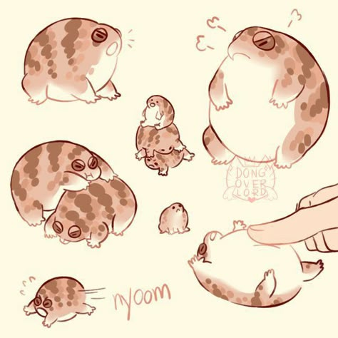 Rain Frogs, Ur Gay, Rain Frog, Desert Rain, Please Don't Leave, Frog Drawing, Tumblr Post, Frog Art, Cute Frogs