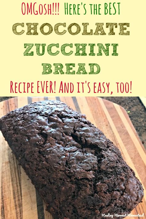 Chocolate Chip Zuchinis Bread Recipe Healthy, Choc Zucchini Bread, Sourdough Chocolate Zucchini Bread, Chocolate Zucchini Bread No Eggs, Chocolate Chunk Zucchini Bread, Healthy Chocolate Zucchini Bread, Zucchini Bread Healthy, Best Zucchini Bread, Chocolate Zucchini Bread