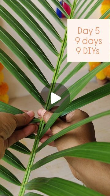 Saumya Gupta  I Affordable Home Decor on Instagram: "Day 5 , of 9 days 9 DIYs

Created this floral backdrop using flowers, areca palm leaf and mago leaf. 

Did you find it useful?

#flowerdecor #toran #festivedecor #marigolddecor #festivedecor #doorhanging #festivalseason #backdropideas #backdrop #navratri2024 #navratrispecial #skandmata #day5 #9days #navdurga #explore_yourdecor #explorepage #homedecortips #homedecor #xplore116n #mymondayyhomme #ａｅｓｔｈｅｔｉｃ
#festiveready 
.
.
.
.
.
.
.
.
Festive ready home, home decoration, navaratri decoration, mandir decoration, mandap decoration, mata rani ka darbaar, jai mata di, home details" Backdrop For Pooja At Home, Pooja Backdrop Decoration Diy, Flower Decoration For Pooja, Backdrop For Pooja, Navaratri Decoration, Mandir Backdrop, Decoration For Pooja, Mandap Decoration, Home Mandir