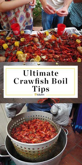 Crawfish Boil Recipe, Crab Boil Party, Seafood Broil, Cajun Seafood Boil, Seafood Casserole Recipes, Crawfish Party, Seafood Boil Party, Crawfish Boil Party, Crawfish Recipes