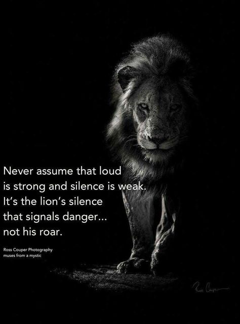 Funny Sayings About Life, Sayings About Life, Leo Quotes, Lion Quotes, 21st Quotes, White Lion, Warrior Quotes, Badass Quotes, Funny Sayings