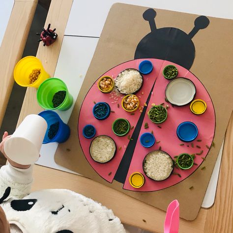 Ladybird Activities For Preschool, Ladybirds Eyfs Activities, Ladybird Sensory Play, Ladybug Theme Preschool, Ladybug Activities For Toddlers, Ladybug Activities For Preschool, Ladybird Activities, Ladybug Activities, Ladybugs Preschool