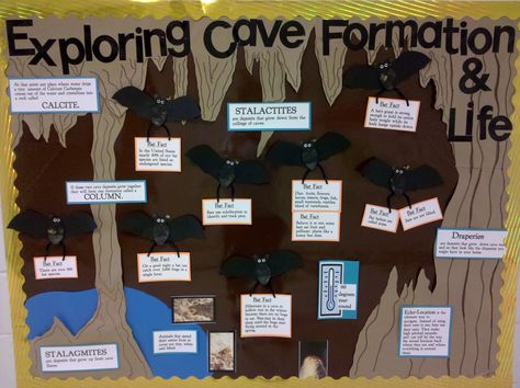 Bat & Cave Bulletin Board Cave Bulletin Board, Diorama Habitat, Bats Unit, Valentine Bulletin Boards, Bats For Kids, October Classroom, Habitats Projects, Hallway Displays, Halloween Science