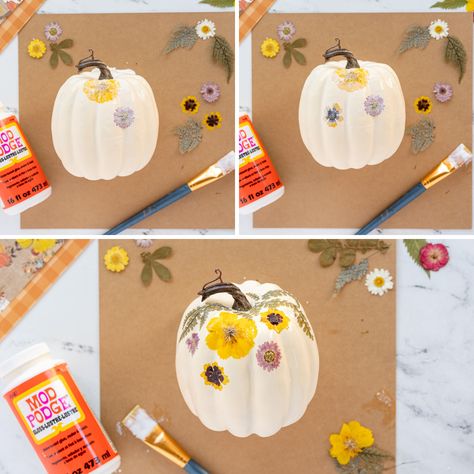 Hodge Podge Flower Pumpkins, White Pumpkin Pressed Flowers, Mod Podge Pumpkins With Flowers, Pumpkin Modge Podge Flowers, Modge Podge Pumpkins With Flowers, Mod Podge Flower Pumpkin, Modge Podge Pumpkins Flowers, Modge Podge Napkin Pumpkin, Floral Pumpkin Modge Podge