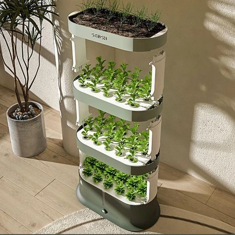 Hydroponics Growing System Indoor Vertical Garden Planter Small Smart Hydroponics Growing System Plant Greenhouse Flowerpot Kit _ - AliExpress Mobile Hydroponic Tower, Plant Greenhouse, Hydroponic Vegetables, Hydroponic Grow Systems, Indoor Hydroponics, Kitchen Gardening, Hydroponic Garden, Vertical Garden Planters, Indoor Vegetables