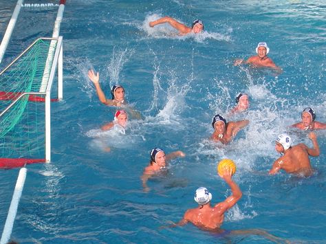 Water polo, whale, and the top #swimmingpoolgames. https://swimswam.com/the-top-9-swimming-pool-games-3-sharks-and-minnows/ List Of Sports, Swimming Pool Games, Mock Trial, Water Polo Players, Sport Theme, Pool Picture, Water Pictures, Water Rafting, Pool Games