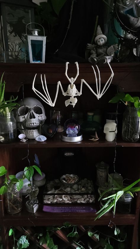 finally finished decorating this old wine rack my mum gave me to use as a shelf #roomdecor #halloweencore #whimsigoth #alternative #gothic #witchy Goth Shelf Ideas, Gothic Shelf Decor, Whimsigoth Shelf, Witchy Shelf, Witch Shelf, Goth Shelf, Horror Bedroom Ideas, Gothic Bookshelves, Horror Bedroom