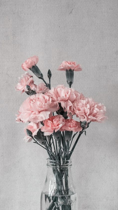 Vintage Kiss, Peony Wallpaper, Vintage Flowers Wallpaper, Flowery Wallpaper, Pink Carnations, Carnation Flower, Wallpaper Nature Flowers, Flower Background Wallpaper, Retro Summer