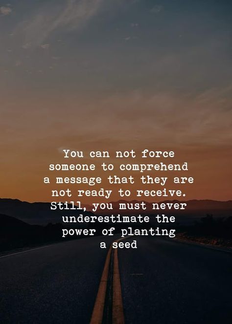 You Can Not Force Someone To Comprehend A Message That They Are Not Receive Still You Must Never Understimate The Power Of Planting A Seed Cell Phone Quotes, Live By Quotes, Motivational Quotes For Employees, My Messages, Christmas History, Quotes About Success, Inspirational Motivational Quotes, Phone Quotes, About Success