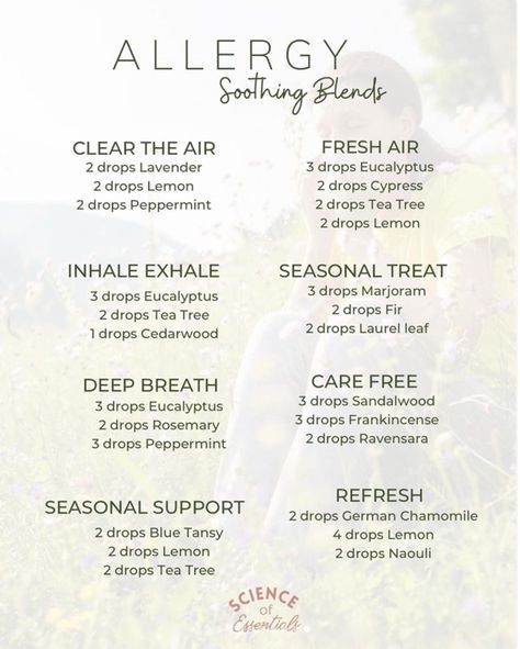 Allergy Essential Oil Blend, Allergy Diffuser Blend, Young Living Essential Oil Diffuser, Essential Oils Allergies, Young Living Oils Recipes, Eo Blends, Doterra Diffuser Blends, Essential Oil Combinations, Essential Oil Diffuser Blends Recipes