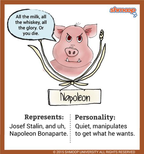 Napoleon Animal Farm, Animal Farm Summary, Animal Farm Novel, Animal Farm Quotes, Animal Farm Orwell, Animal Farm Book, Text Feature Anchor Chart, Animal Farm George Orwell, Operant Conditioning