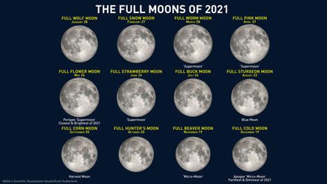 Look up! The rarest Full Moon of 2021 shines in the sky this week February Full Moon, Full Buck Moon, Full Strawberry Moon, Full Moon Names, Moon Hunters, Full Blue Moon, Moon Facts, Corn Moon, Sturgeon Moon