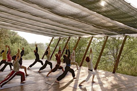 Outdoor Yoga Platform, Yoga Deck, Yoga House, Yoga Platform, Outdoor Meditation, Yoga Place, Yoga Shala, Ashtanga Vinyasa Yoga, Yoga Studio Design