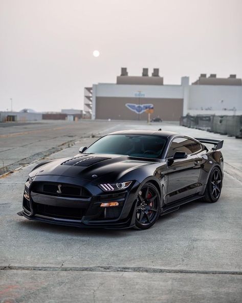 Siyah Mustang, Ford Mustang Wallpaper, Mobil Mustang, Mustang Wallpaper, Mustang Car, Mustang Gt500, Shelby Mustang, Aesthetic Cool, Ford Mustang Car