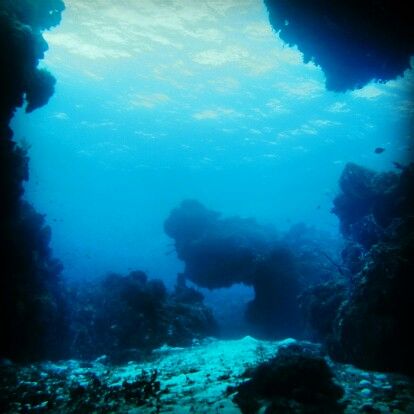 Sea floor Ocean Floor Photography, Whale Song, Sea Floor, Ocean Floor, Mermaid Painting, Hippie Painting, Open Ocean, Floor Art, Reference Pictures