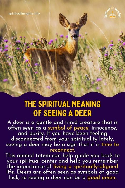 The Spiritual Meaning of Seeing a Deer Animal Totem Spirit Guides, Spirit Animal Meaning, Animal Meanings, Spiritual Animal, Animal Spirit Guides, Feeling Disconnected, Animal Symbolism, Dream Symbols, Natural Cough Remedies