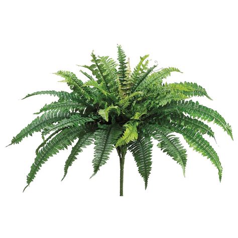 Boston Fern, Artificial Plants And Trees, Basket Planters, Fern Plant, Silk Plants, White Planters, Nearly Natural, House Plants Indoor, Fake Plants