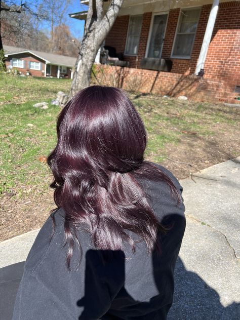 Black Violet Hair, Dark Violet Hair Brown Deep Purple, Plum Black Hair, Dark Violet Vampire Hair Color, Eggplant Colored Hair, Long Plum Hair, Eggplant Hair, Dark Purple Almost Black Hair, Dark Violet Hair