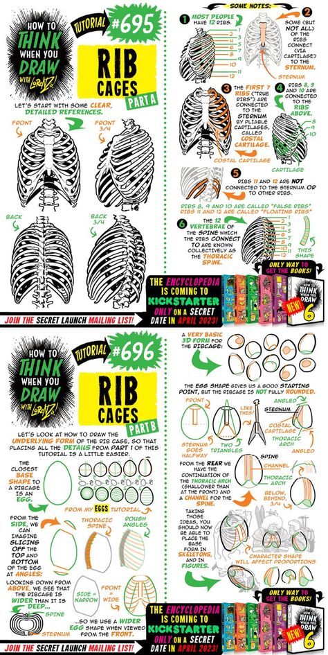 How To Draw Skeletons, Anatomy Of Bones, Etherington Brothers, Art Classroom Management, Comic Tutorial, Art Advice, Human Anatomy Drawing, Drawing Studies, Body Reference Drawing