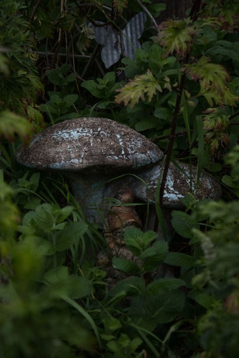 #nature #mushrooms #garden #gnomes #photography #aesthetic Gnome Aesthetic, Dnd Gnome, Kai Core, Nature Mushrooms, Hat Aesthetic, Gnome Hat, Garden Gnomes, Oc Inspo, Photography Aesthetic