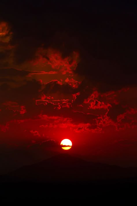 Dark Red Aesthetic, Red Wallpapers, Red Aesthetics, Red Aesthetic Grunge, Colour Aesthetic, Red And Black Wallpaper, Dark Red Wallpaper, I See Red, Red Pictures